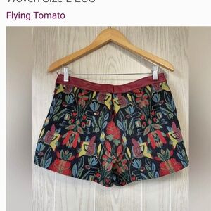Billy Flying Tomato Anthropologie Shorts Woven Size L EUC